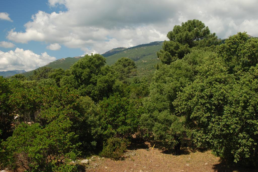 Residence Riviera Porto-Vecchio  Kültér fotó