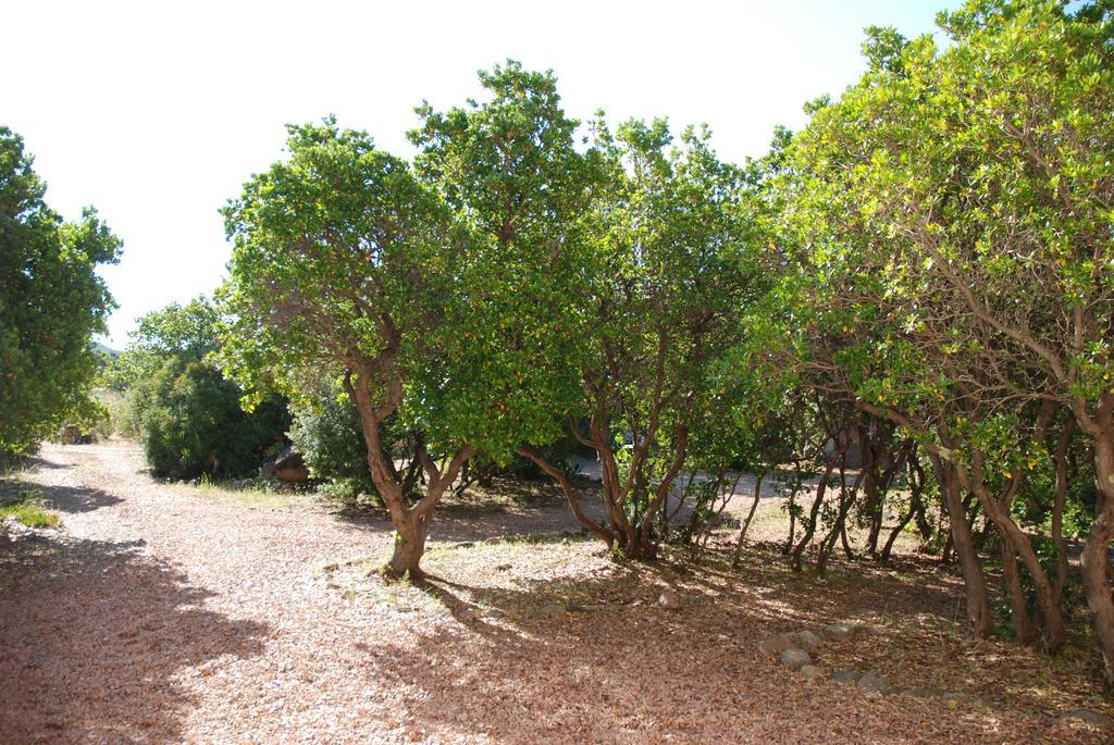 Residence Riviera Porto-Vecchio  Kültér fotó